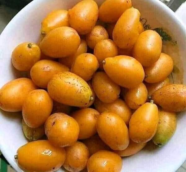What is the English name for Ugomugo Fruit?