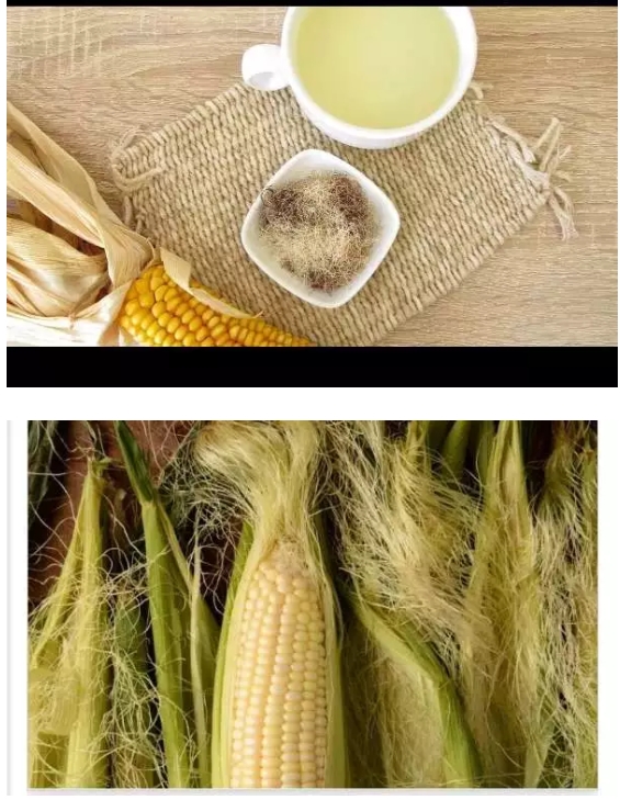 How to use Cornsilk to Cure Stomach Ulcers and other Diseases