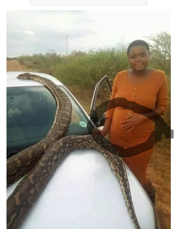 Slay-queen Pregnant for Anaconda Snake