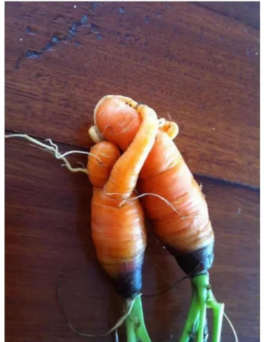 Photos of Fruits and Vegetables with Human Shape