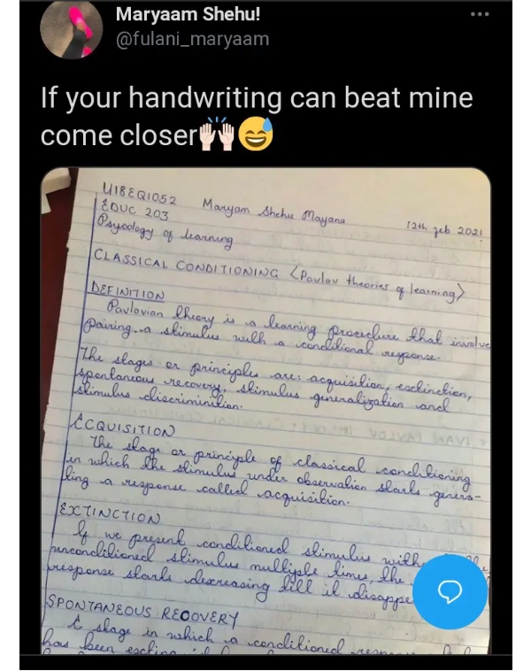 Lady Sets Handwriting Challenge