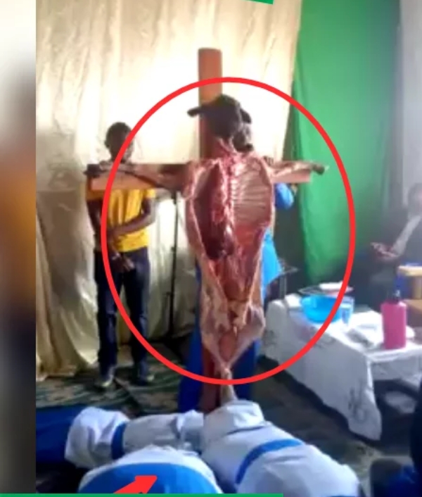 (VIDEO) Members of a Church Worshiping Dead Goat Crucified on Cross
