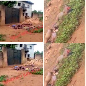 VIDEO Beheaded Dead Bodies Littered Igbariam Junction