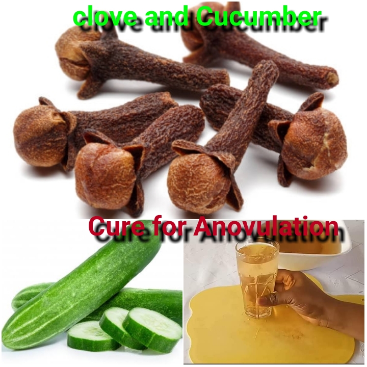Natural Ways to Cure or Remedy Anovulation (Lack of Ovulation)