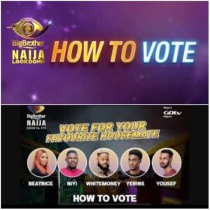 How To Vote On BBNaija 2021 – Vote  For Your Favorite Housemate
