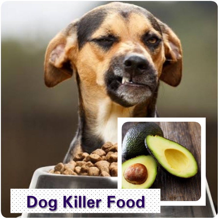 7 Food You should never give Your Dog