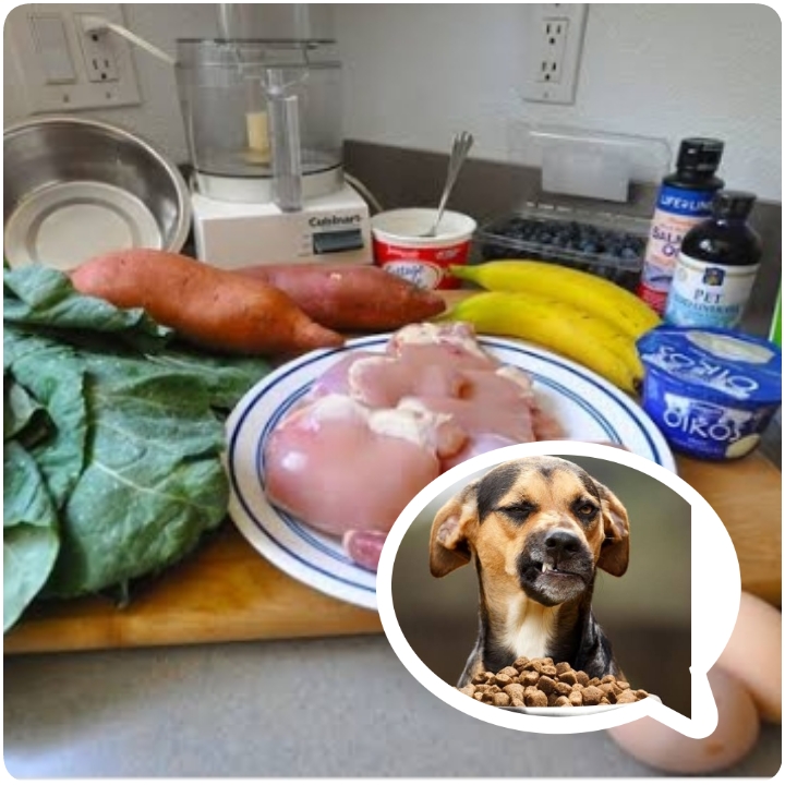 How to Prepare Homemade dog food
