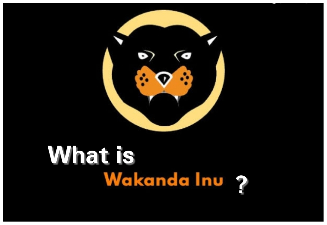 What is Wakanda INU?