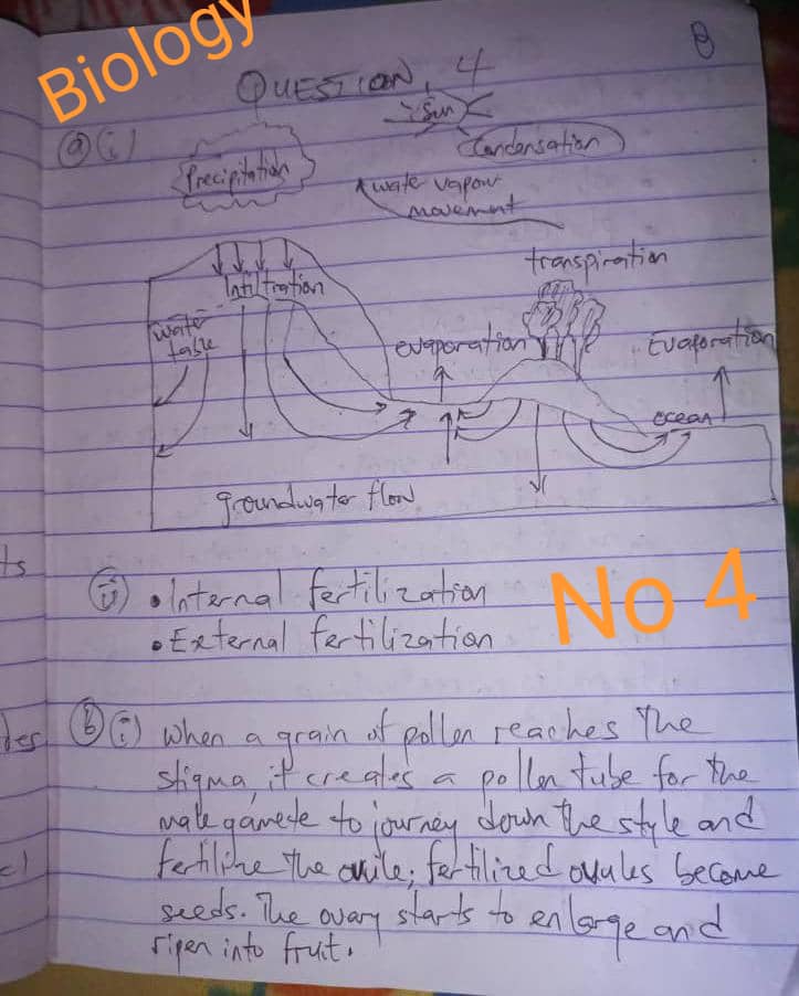 2022 NECO BIOLOGY SOLUTIONS - QUESTIONS AND ANSWERS - Correct Answers