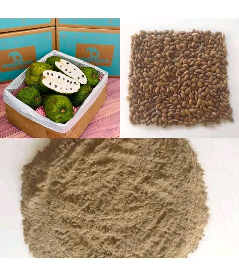 Soursop Dry Seed Powder Uses, Nutritional Value And Health Benefits