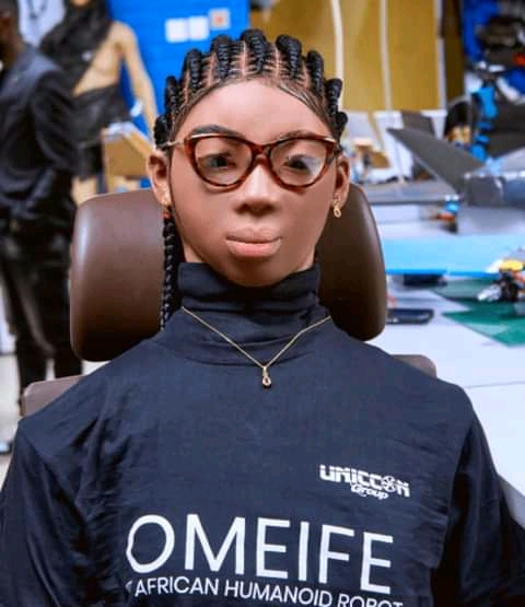 Omeife - All you should Know about the Africa’s First Humanoid Robot