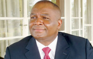 Nnamani Dumps PDP After Defeat