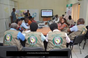 Elections: Observer Group Calls for Kano Guber Result Review