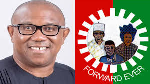 Obi not leaving Nigeria - LP Council 